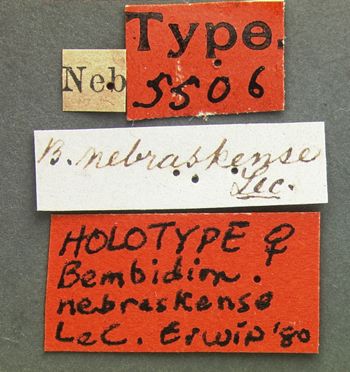 Media type: image;   Entomology 5506 Aspect: labels